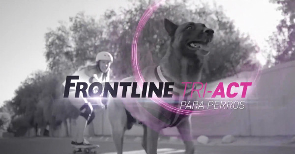 FRONTLINE TRI-ACT, protege a tu mascota contra los parásitos